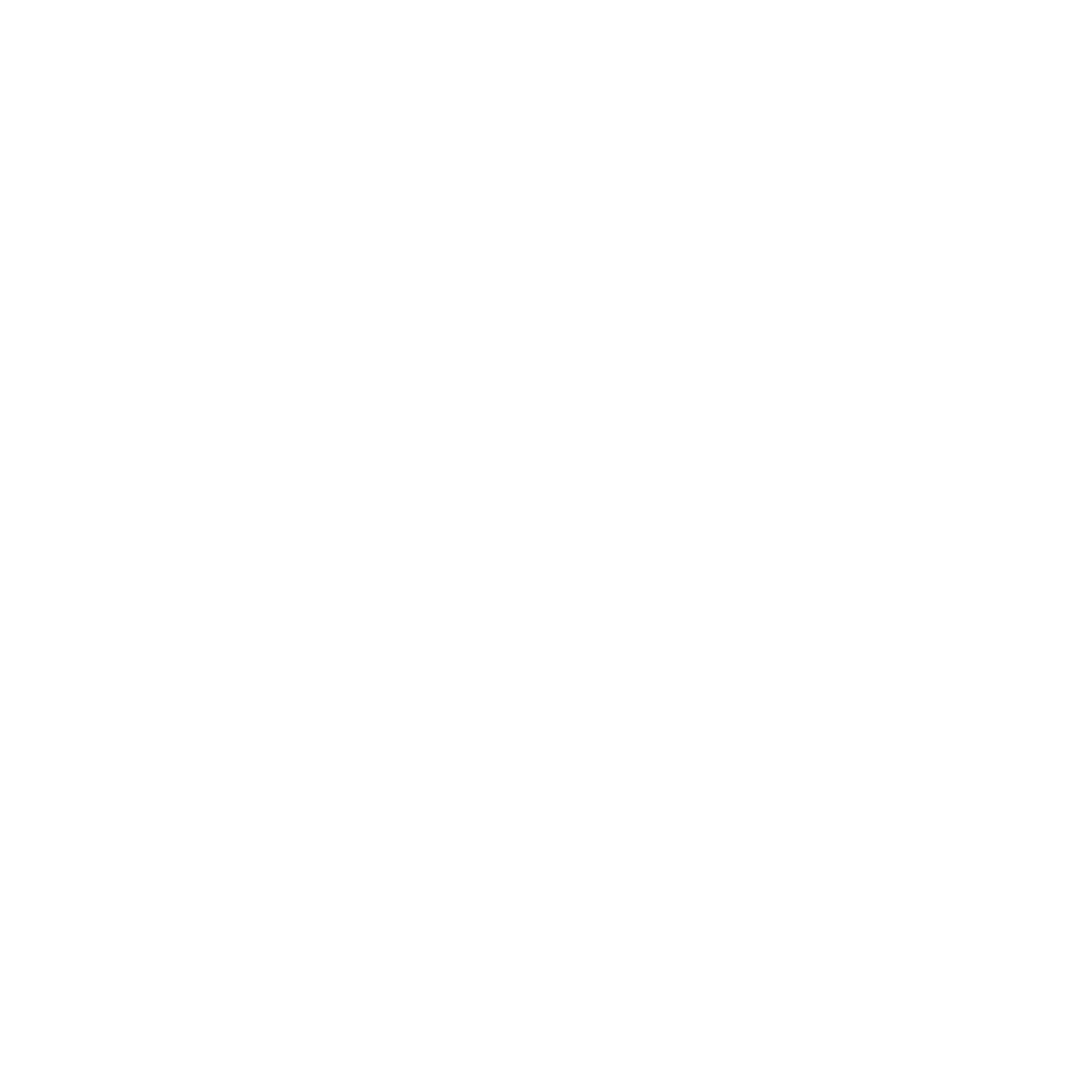 ANTARES EXPLORATION